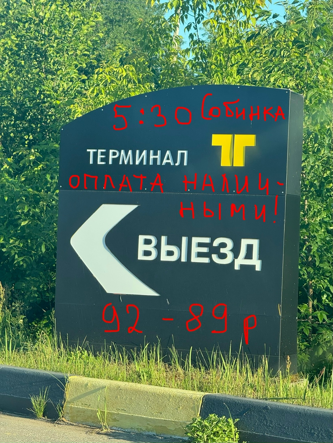 NXBrVTat5Uw2IjyV.jpg