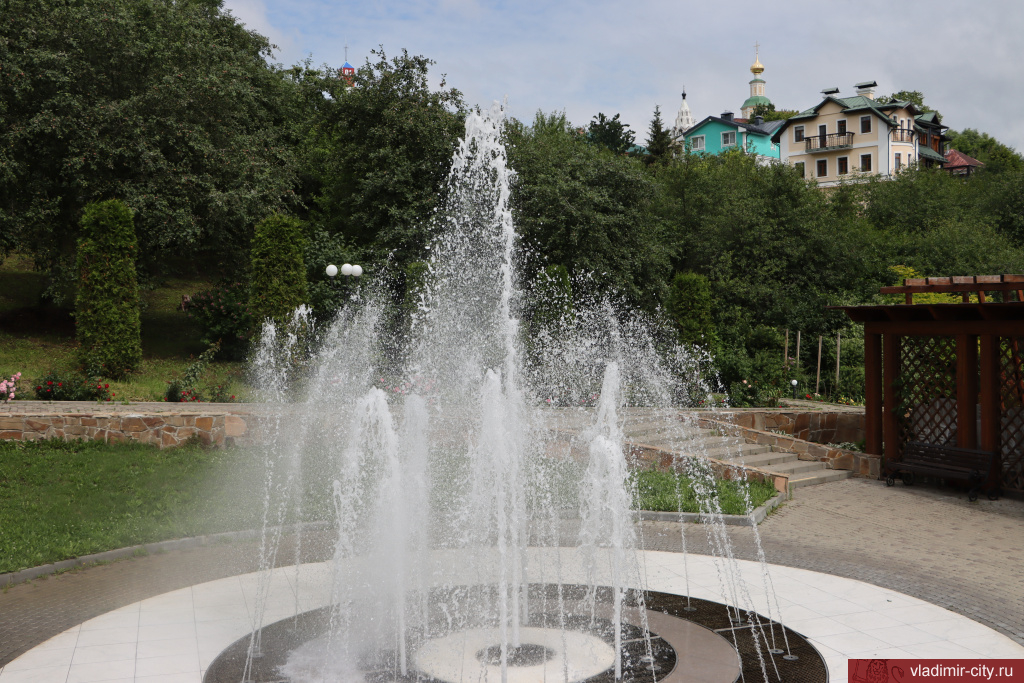 IMG_8982.jpg