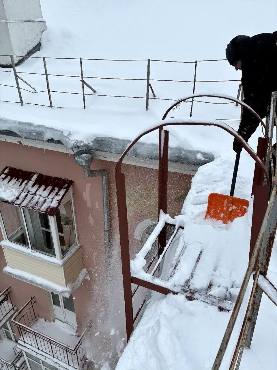 photo_2026-01-16_12-36-51 (2).jpg