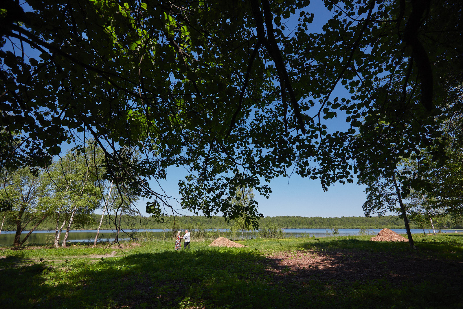 QQ0A3495.jpg