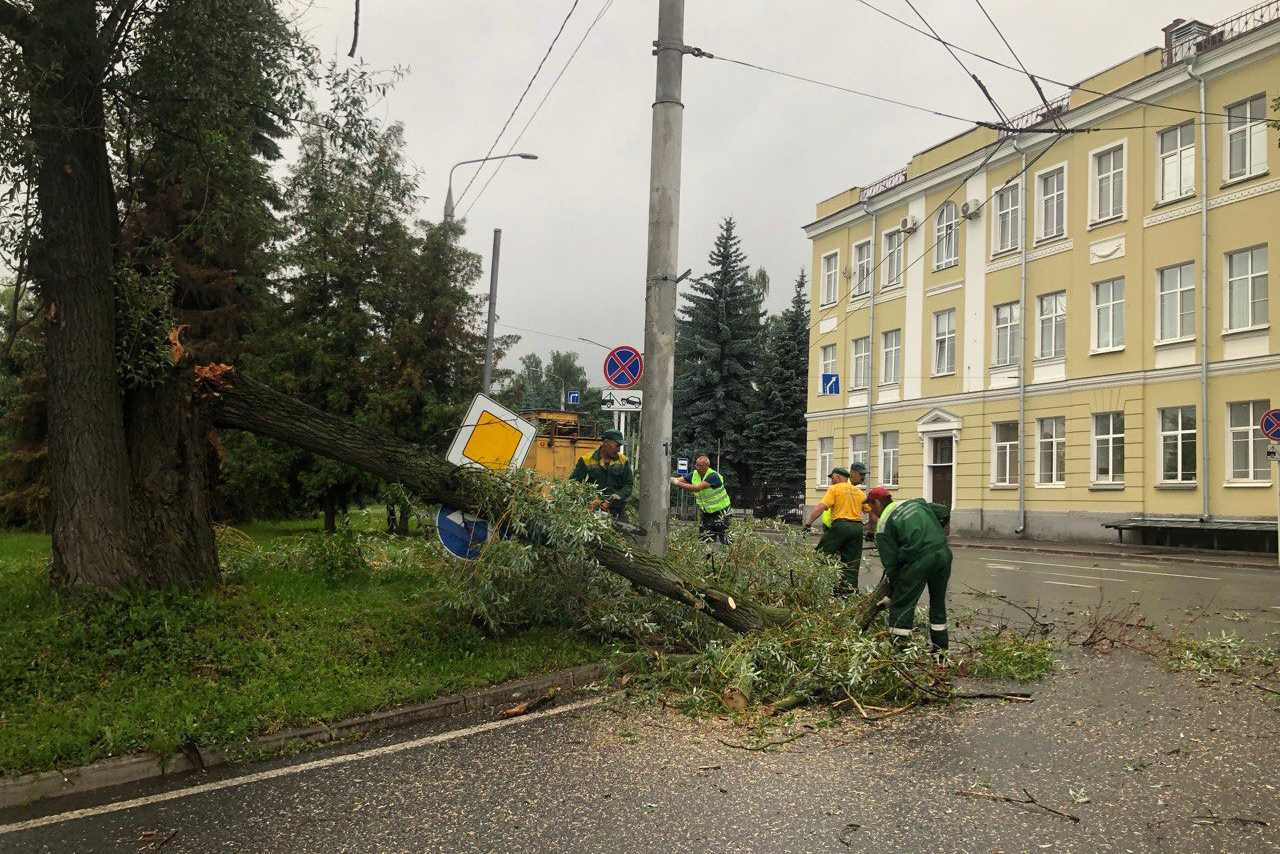 Ураган повалил во Владимирской области сотни деревьев - новости Владимирской  области