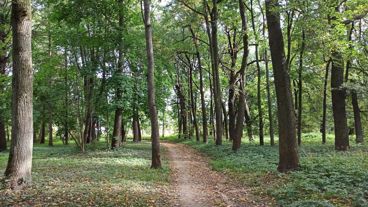 SimaPark.jpg