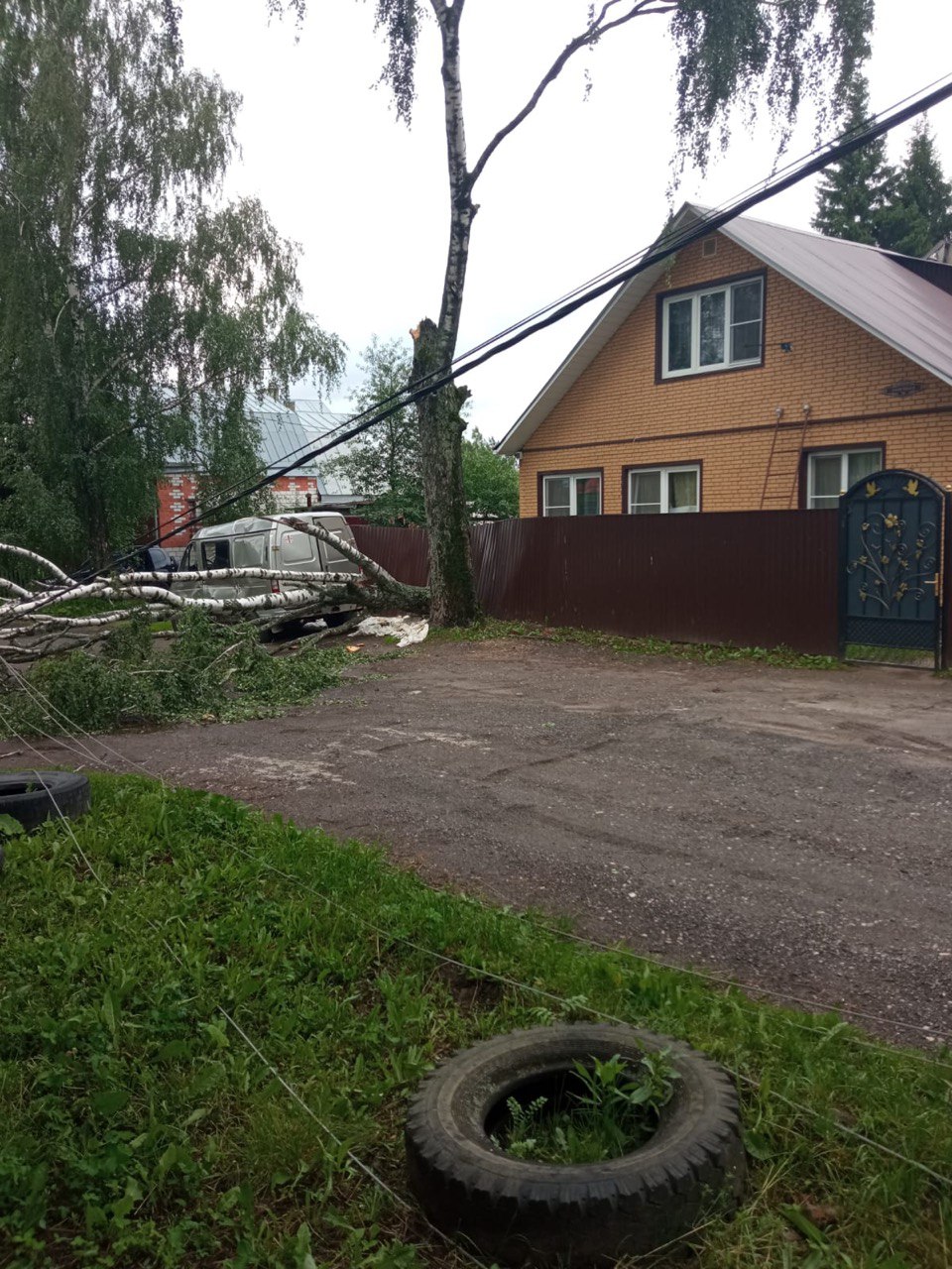 Ураган повалил во Владимирской области сотни деревьев - новости  Владимирской области