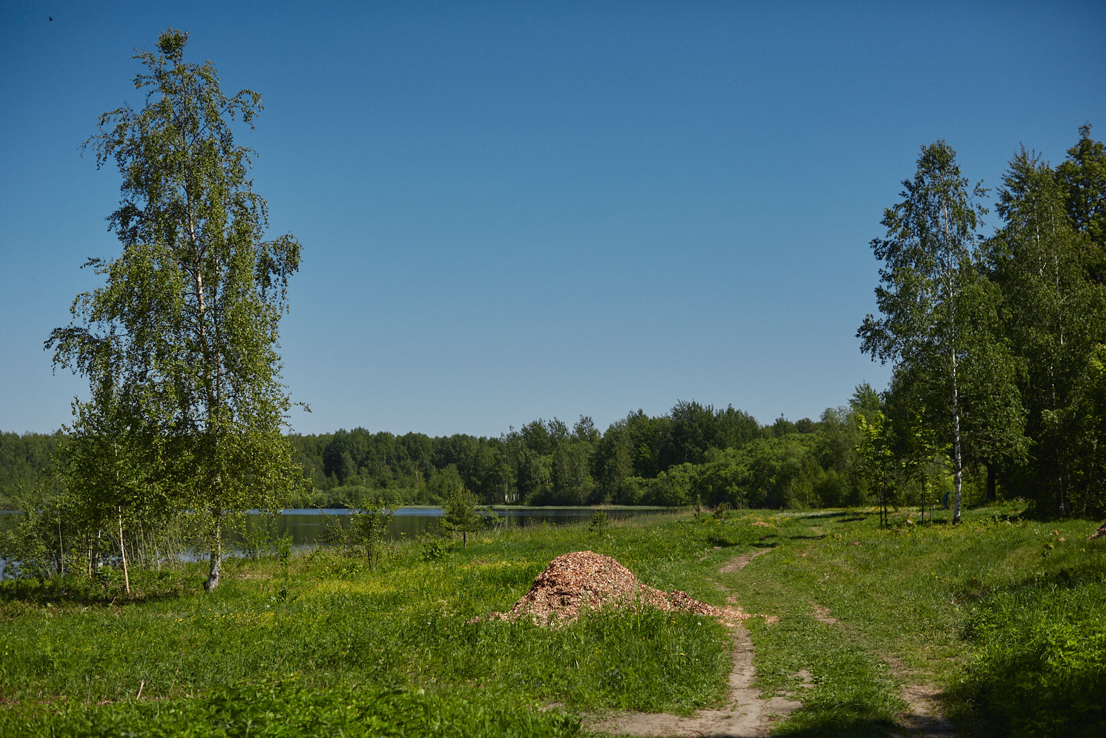 QQ0A3369.jpg