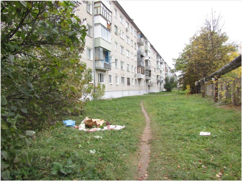 NKogsVLyiLky8gWzjNnf.jpg