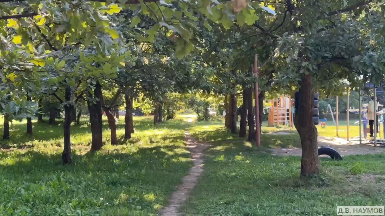 IMG_2383.MOV_snapshot_00.36.033.jpg