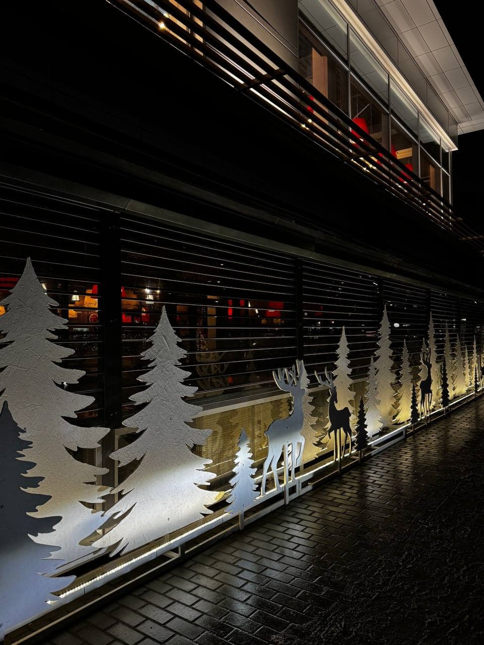 photo_2026-01-03_14-38-09 (2).jpg