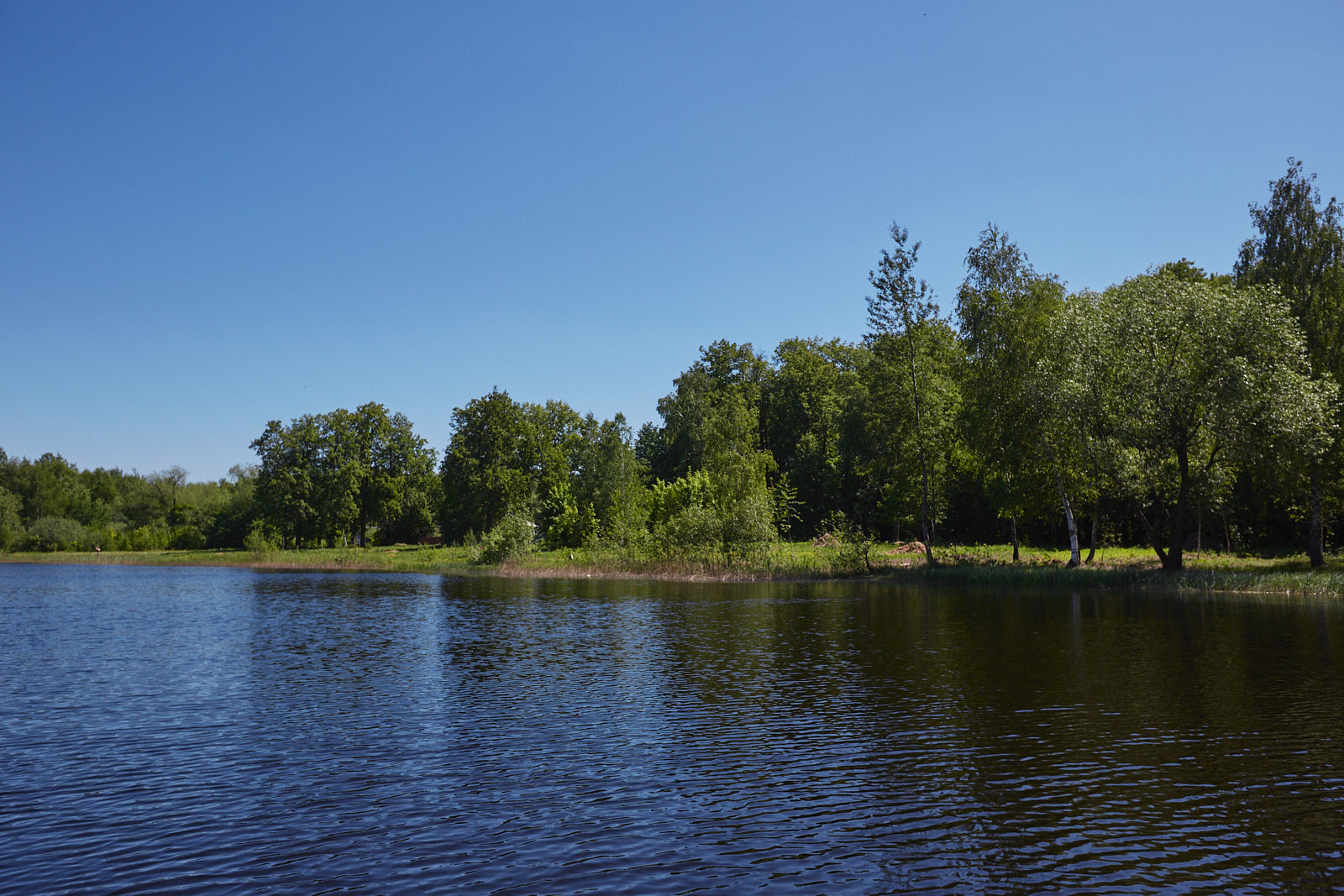 QQ0A3465.jpg
