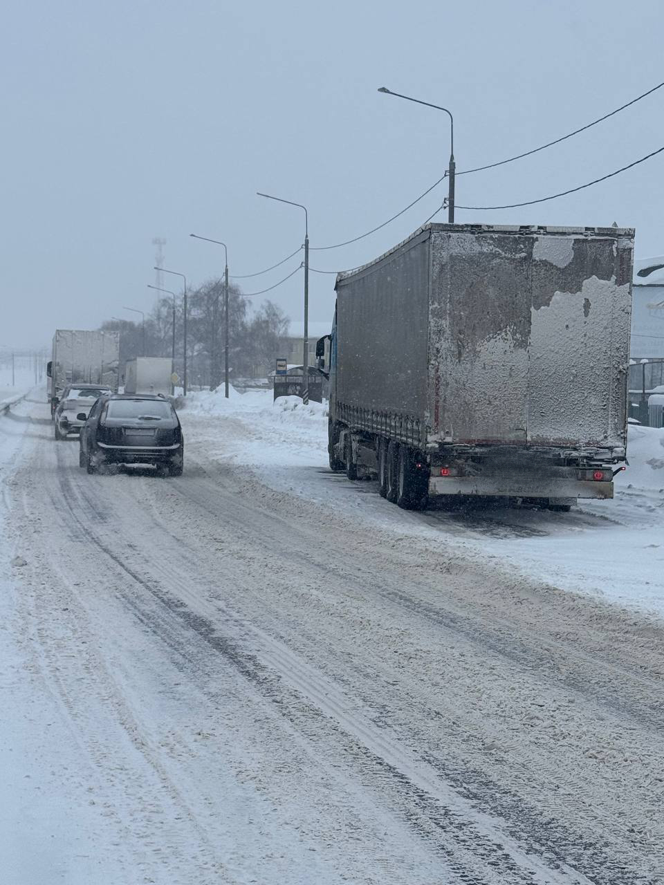 photo_2026-01-29_18-38-49 (2).jpg