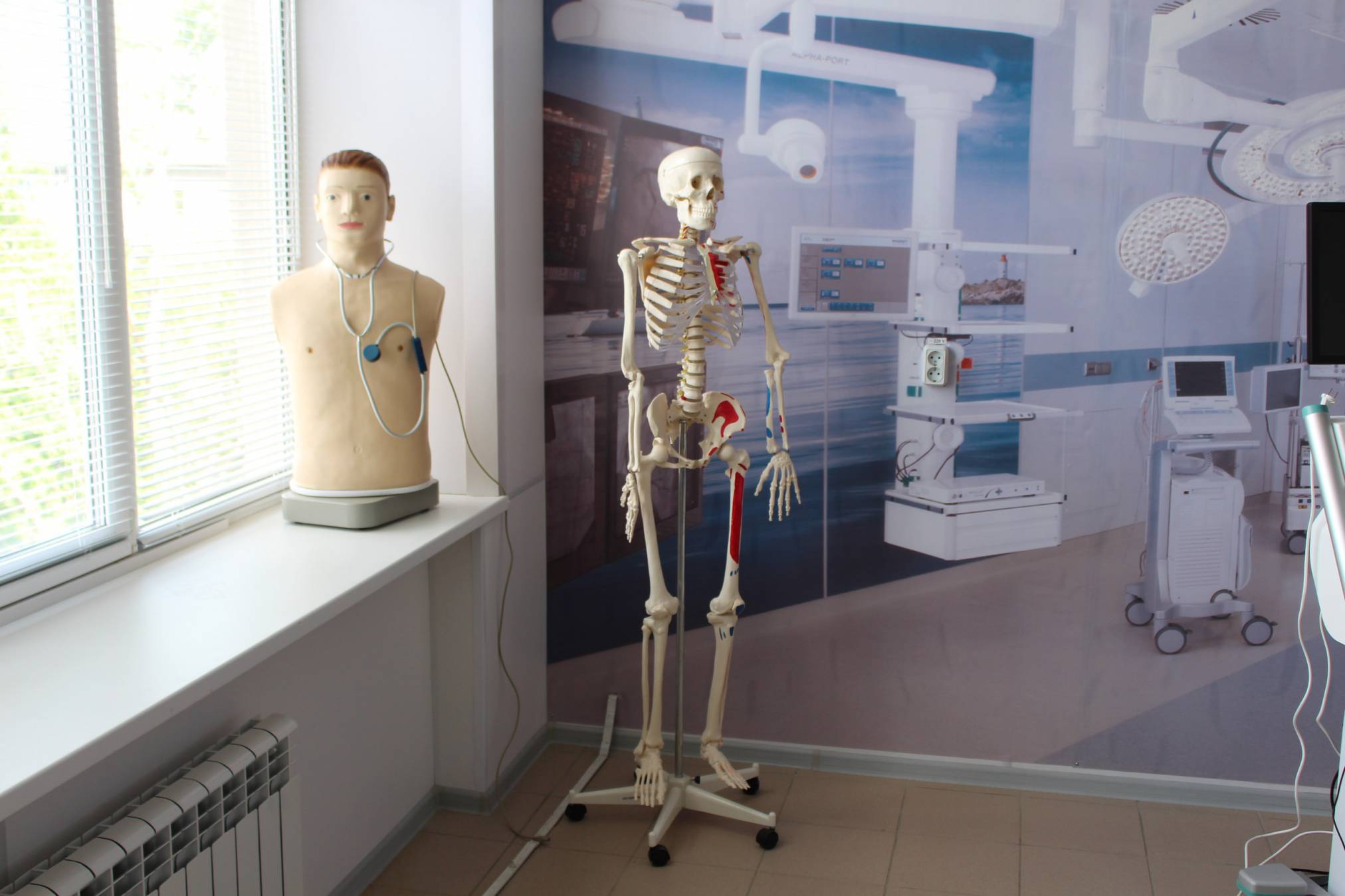 экспонаты медицинского музея