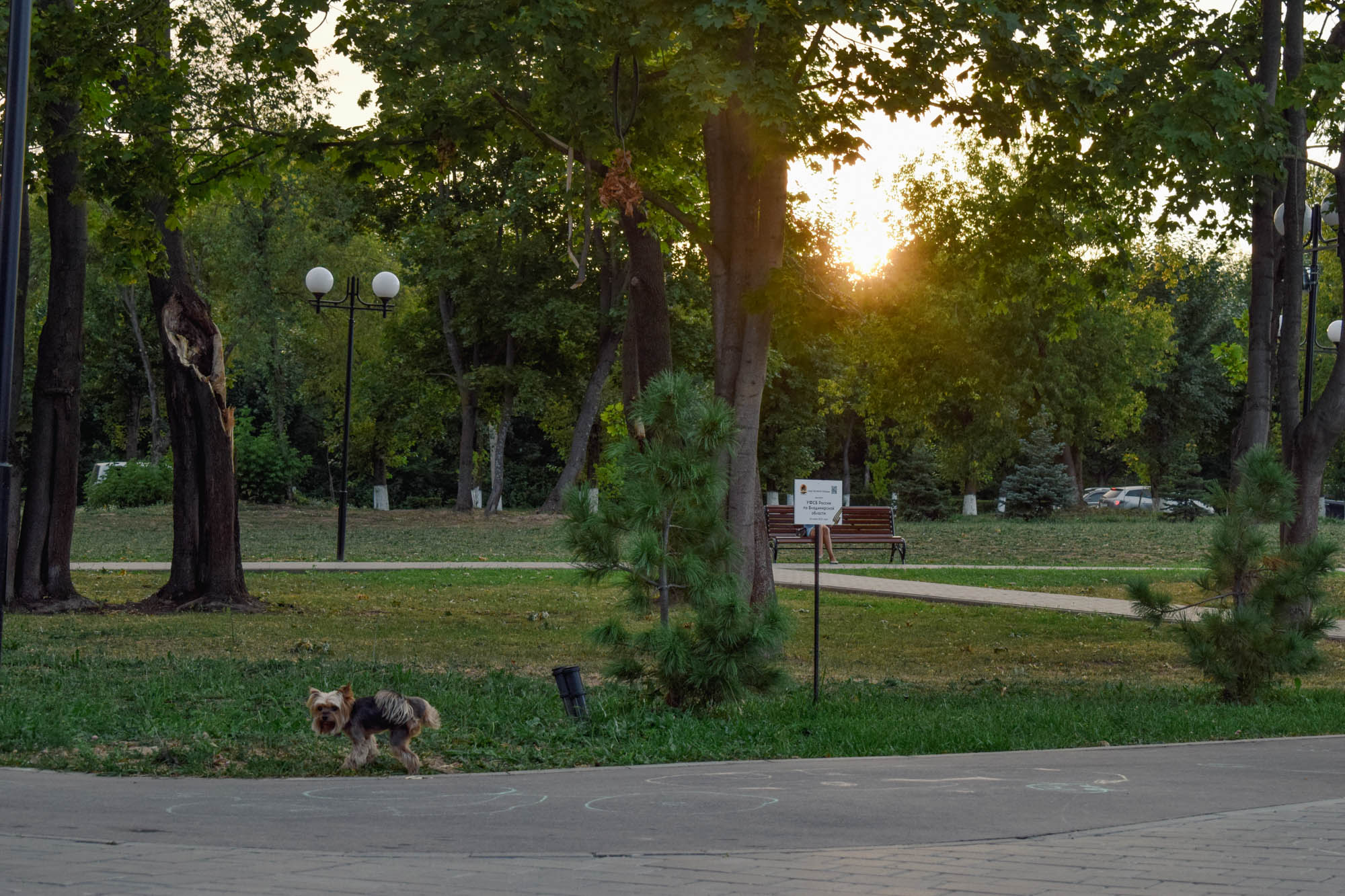 DSC_0038.jpg