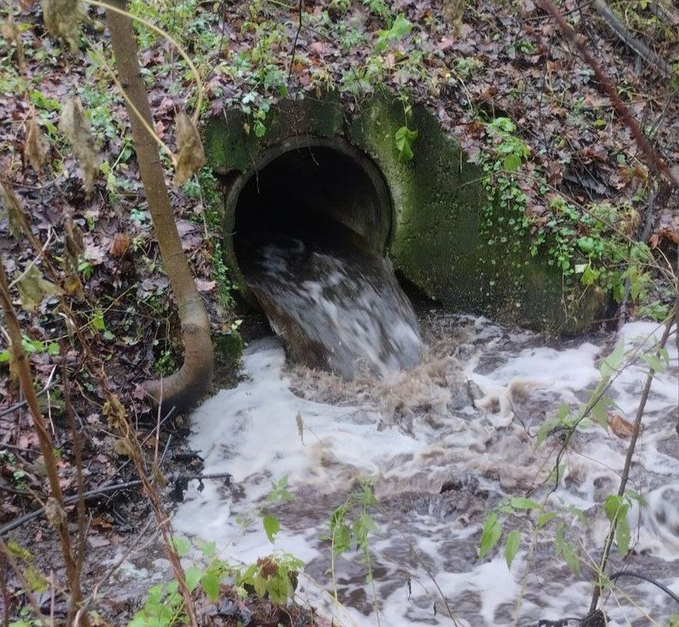 photo_2025-11-05_11-13-52 (2).jpg