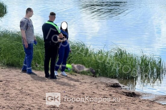 GKovr.jpg
