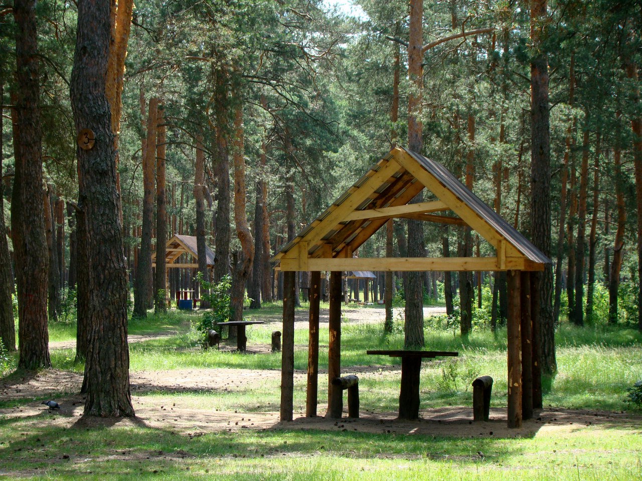 Пикниковая зона в загородном парке Владимир