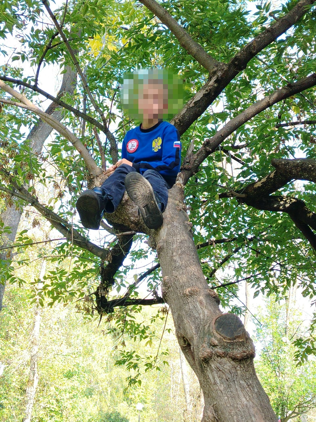 JdougMY10N6mZ.jpg
