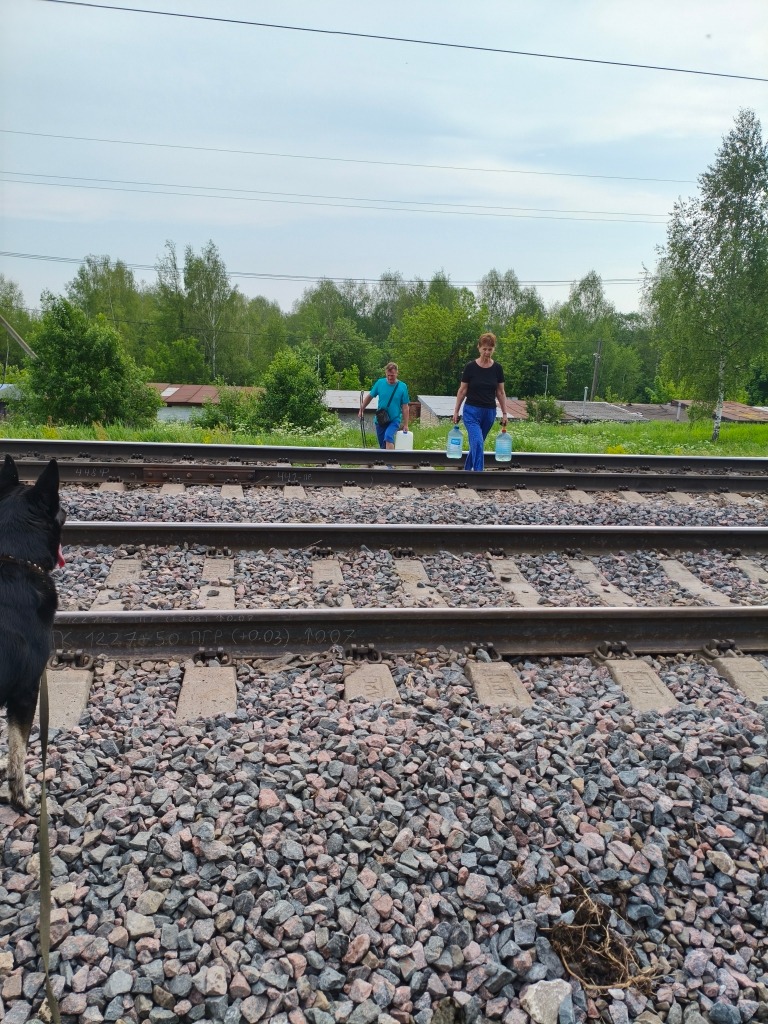1000028414.jpg