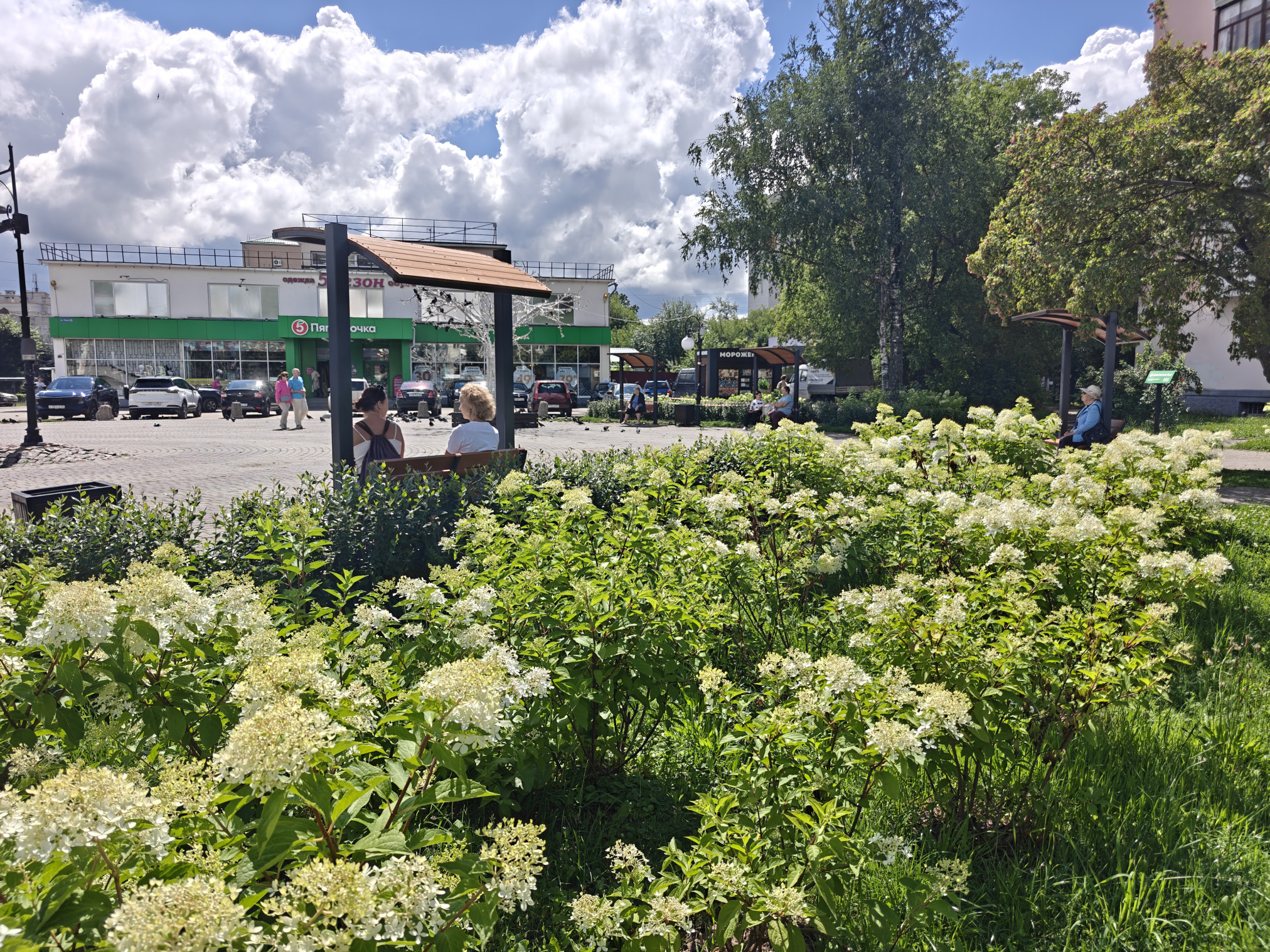 2026-07-13 12-00-57.JPG
