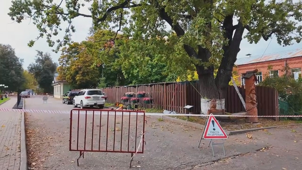 oaktree.mp4_snapshot_00.59.866.jpg