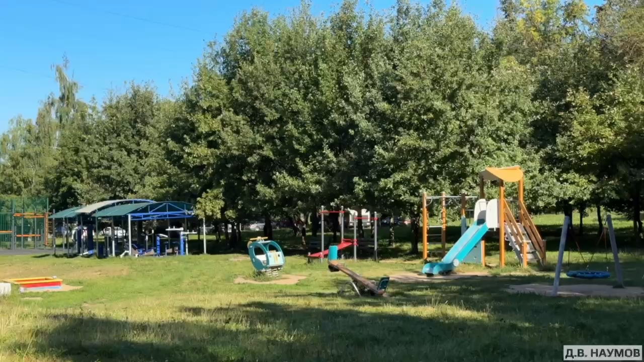 IMG_2383.MOV_snapshot_00.29.000.jpg