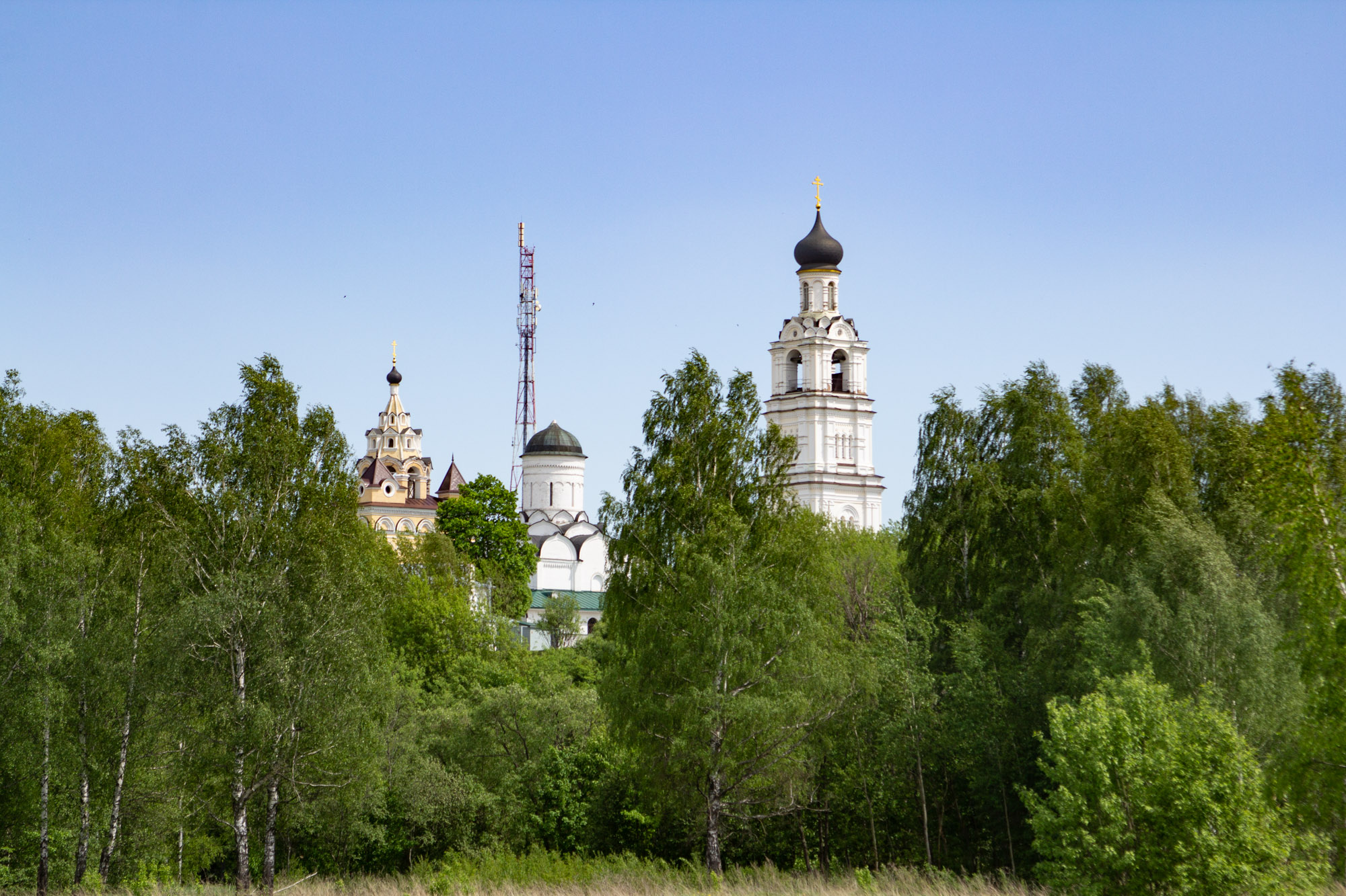 IMG_5036.jpg