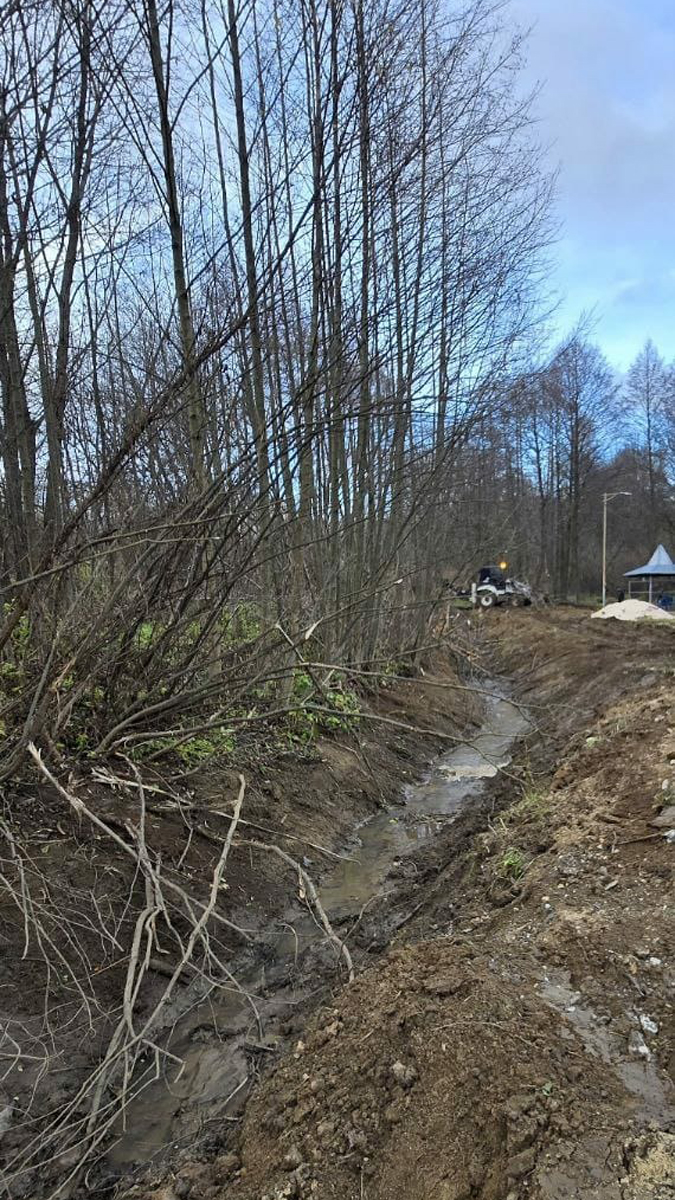 WhatsApp Image 2025-11-13 at 12.35.13.jpeg