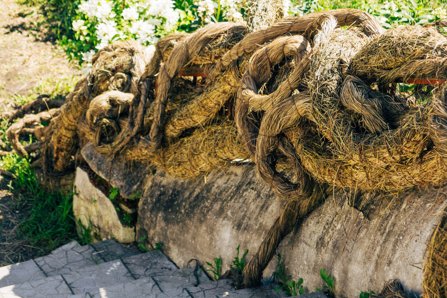 IMG_7010.jpg