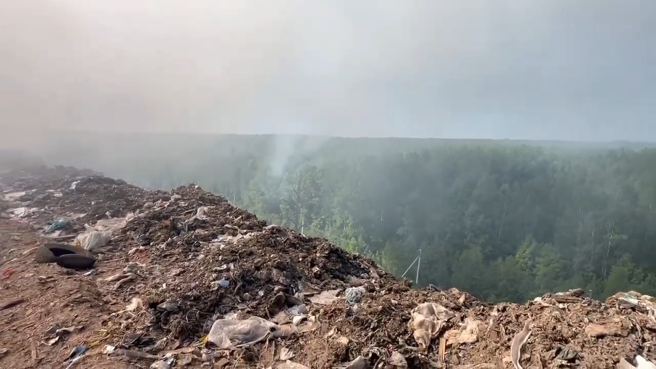 16314571033243.mp4_snapshot_00.11.jpg