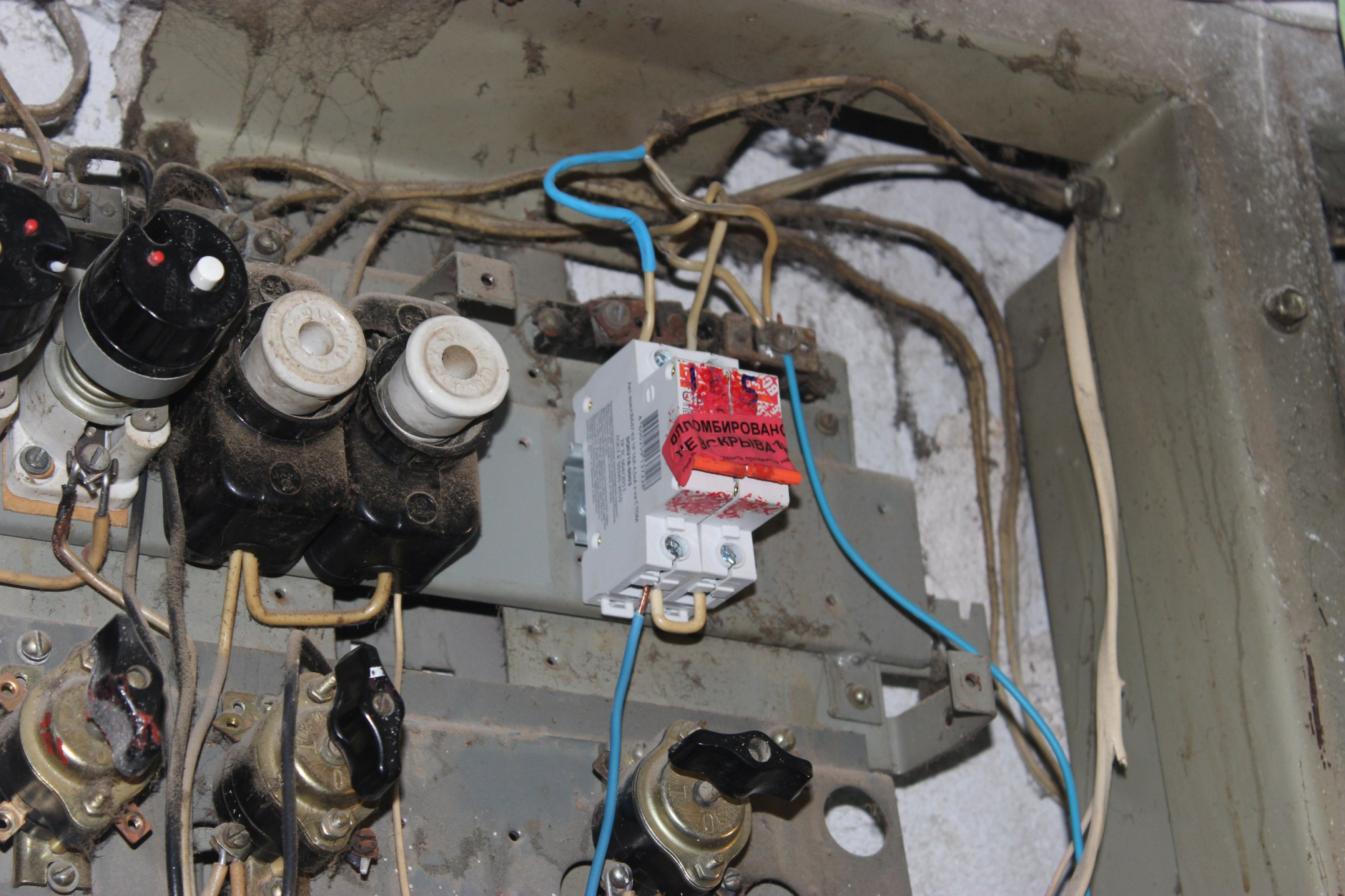 photo_2025-12-15_10-37-50 (2).jpg