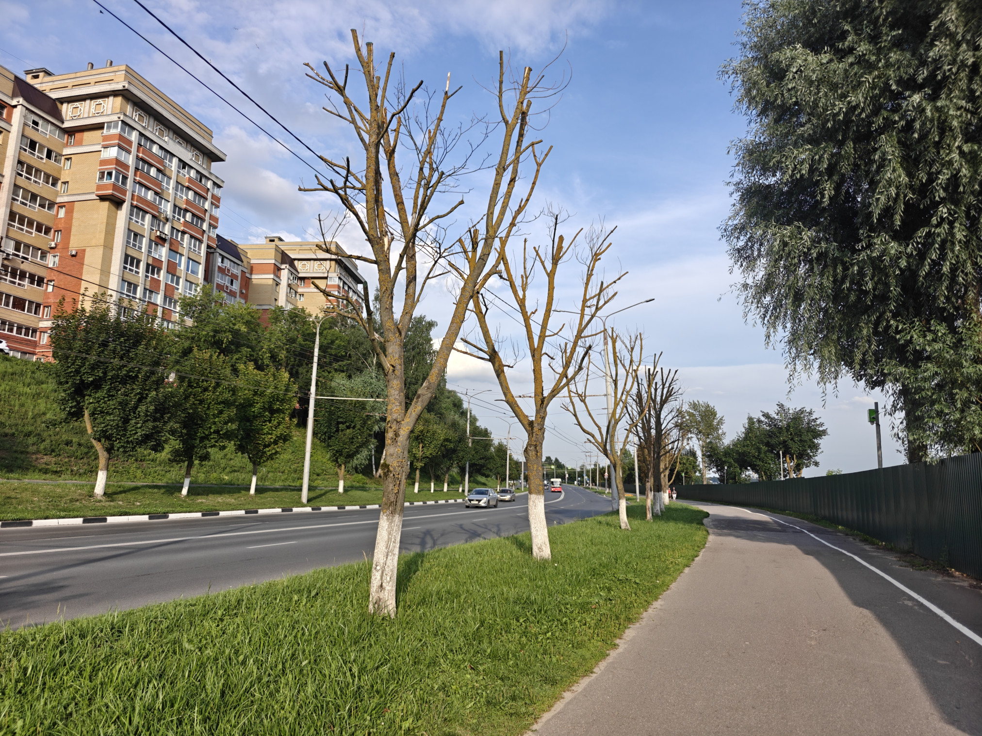 2026-07-21 18-04-54 (1).JPG