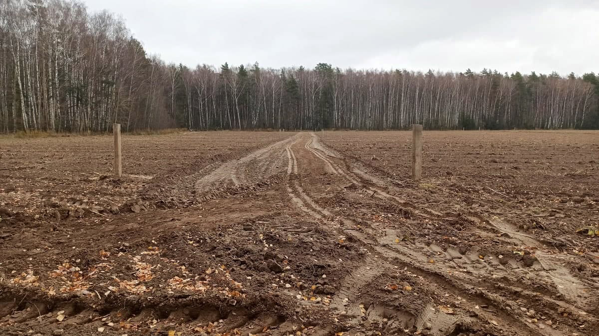 Подпись видео