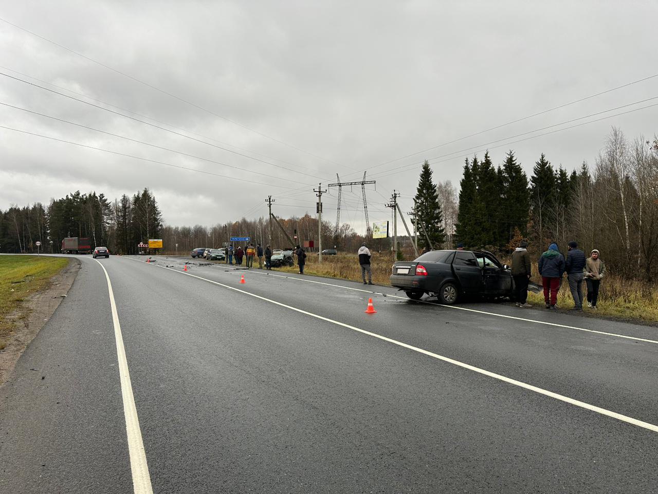 Ковардицы 2.jpg