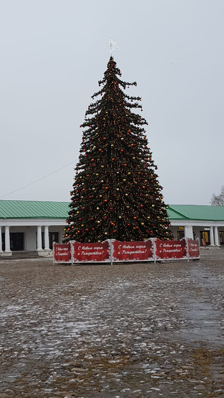 Мэр Москвы Сергей Собянин подарил городу Суздалю новую новогоднюю елку.  Такая искусственная ель может стоить от 7 миллионов рублей - новости  Владимирской области