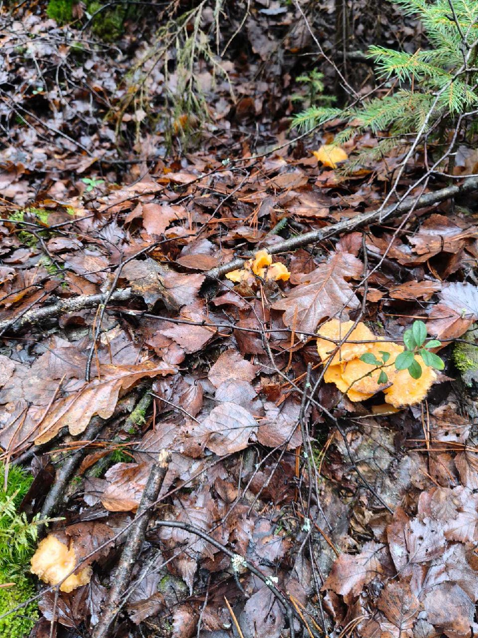 photo_2025-12-01_16-01-33 (2).jpg