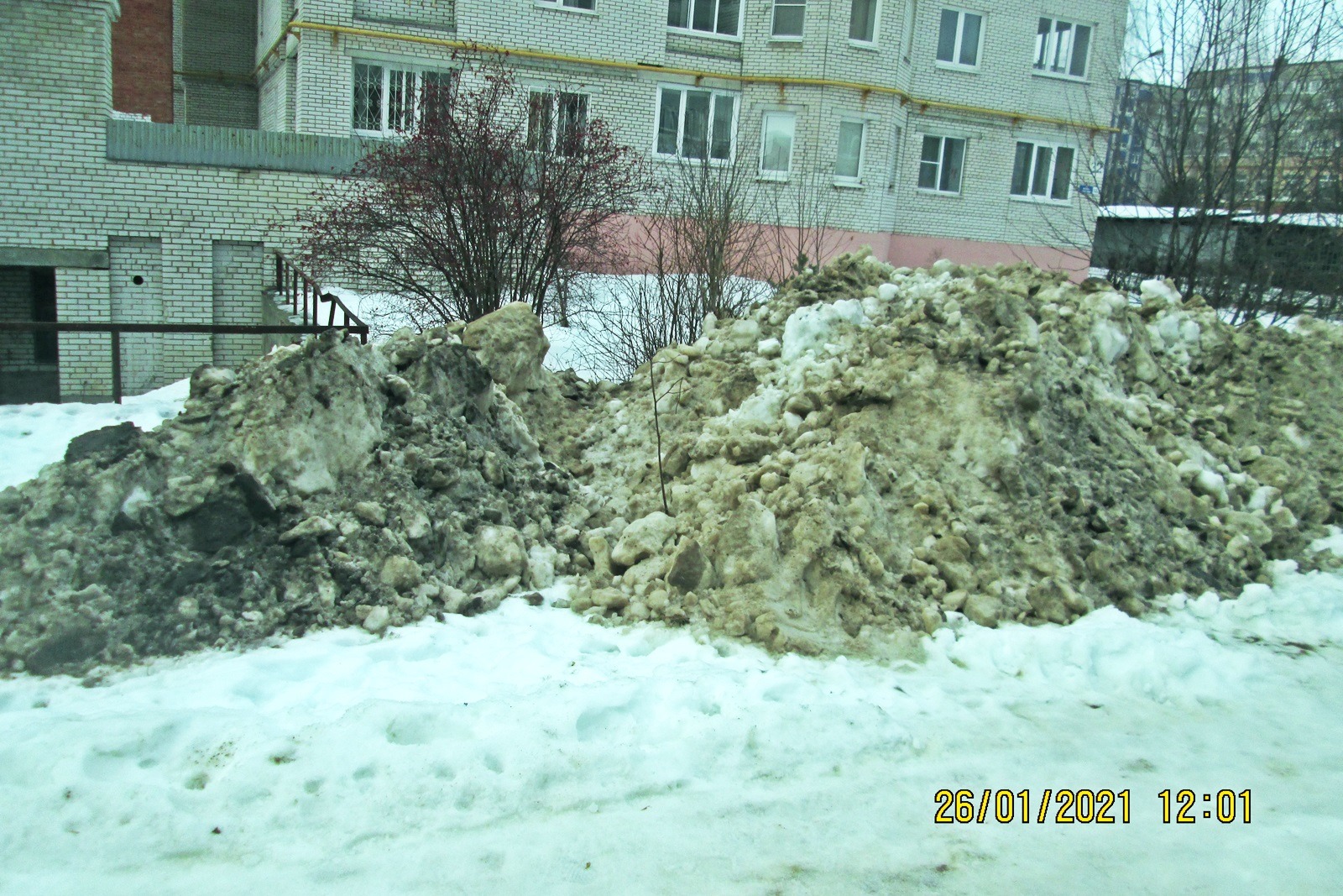 0538 Снег, смешанный с грязью и реагентами, складирован на газоне, ул. Н. Дуброва 32.jpg