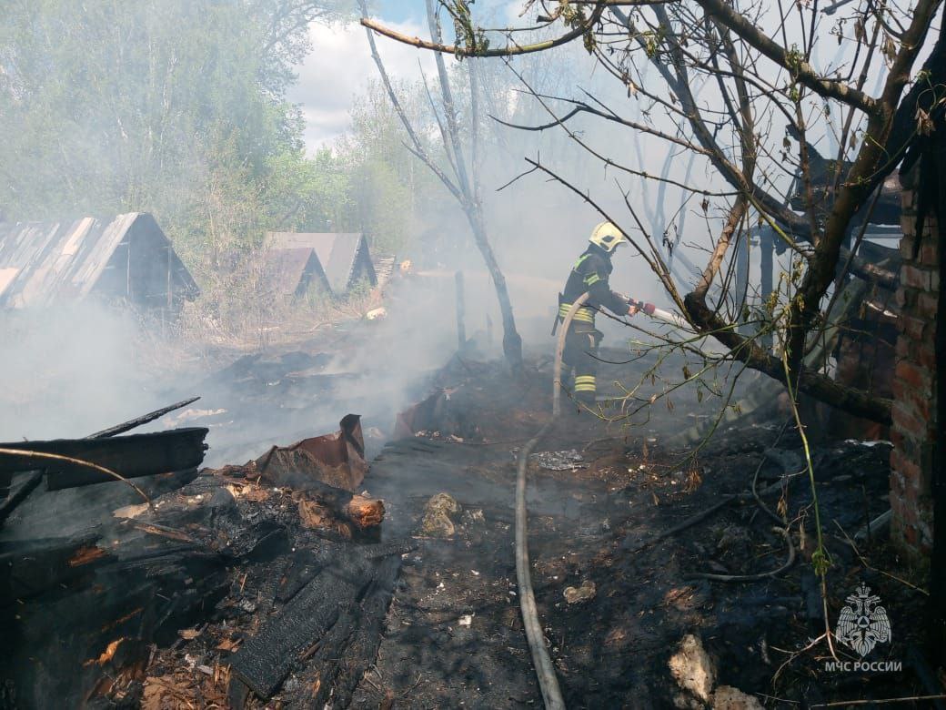 photo_2024-05-01_14-15-48 (2).jpg