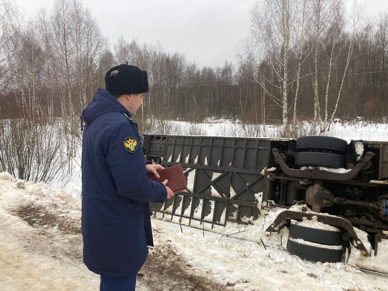 Автобус со школьниками из Струнино попал в аварию в Ярославской области |  23.12.2023 | Владимир - БезФормата