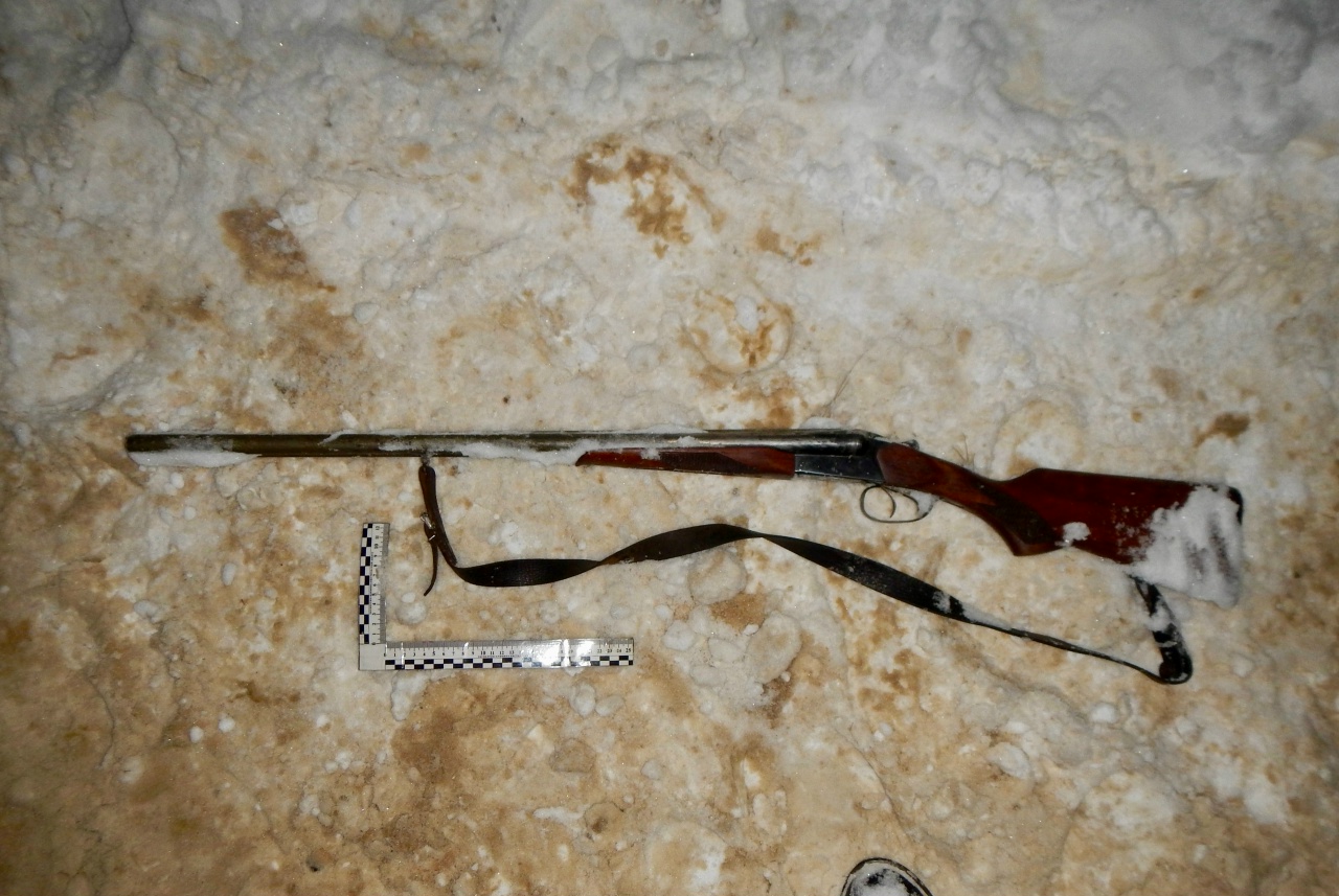 uH46iGw9T2RnMjT.jpg