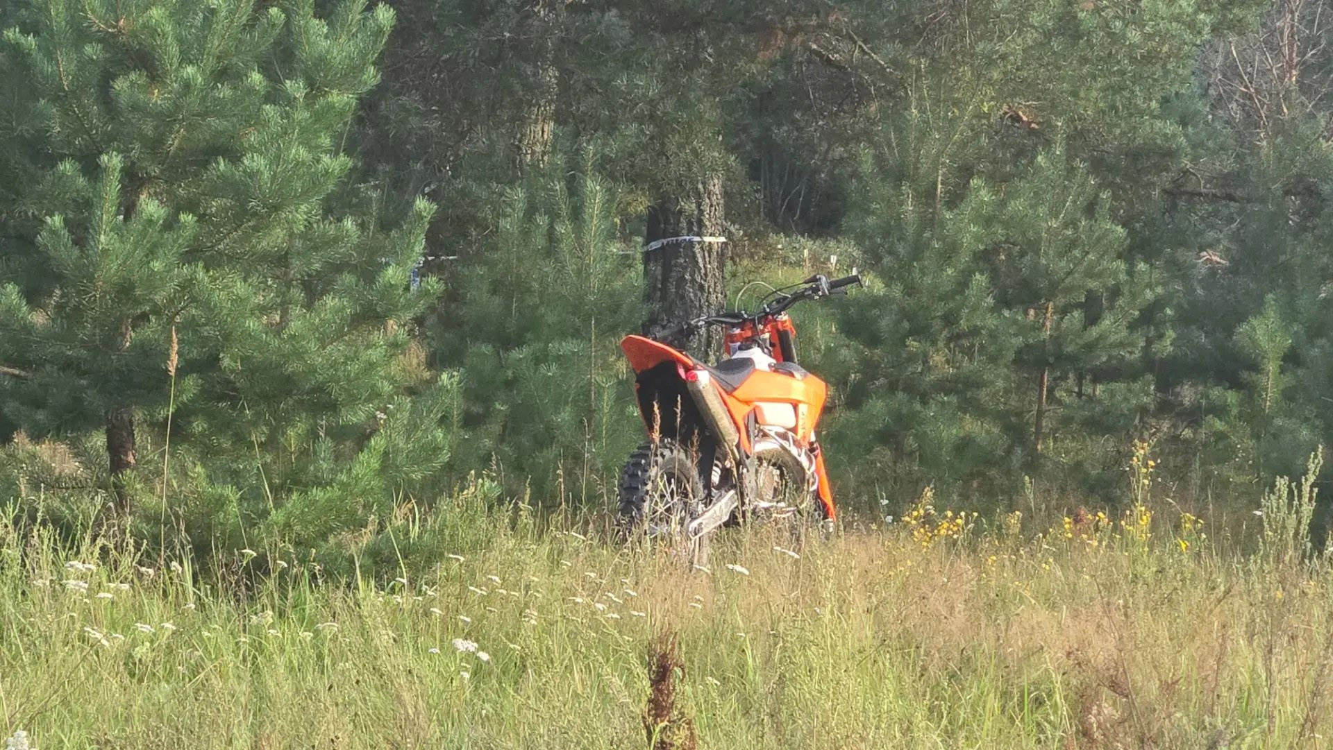 Enduro2.jpg