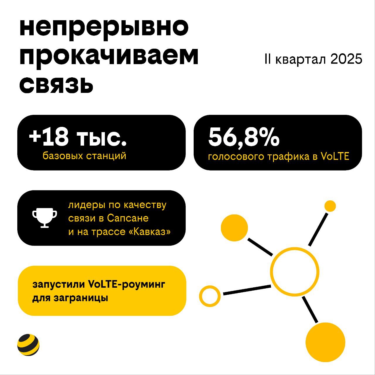 bee01.jpg
