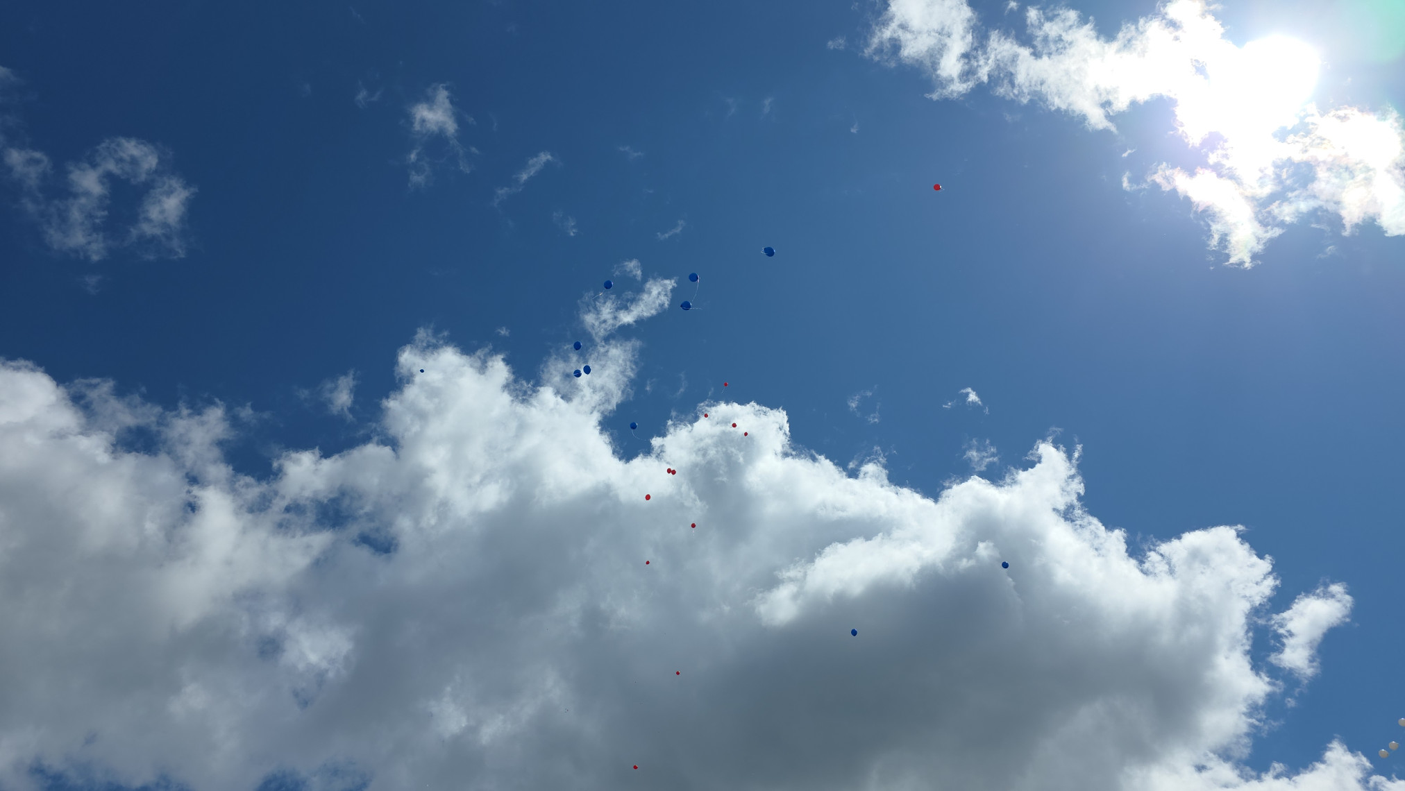 20260526_125354.jpg