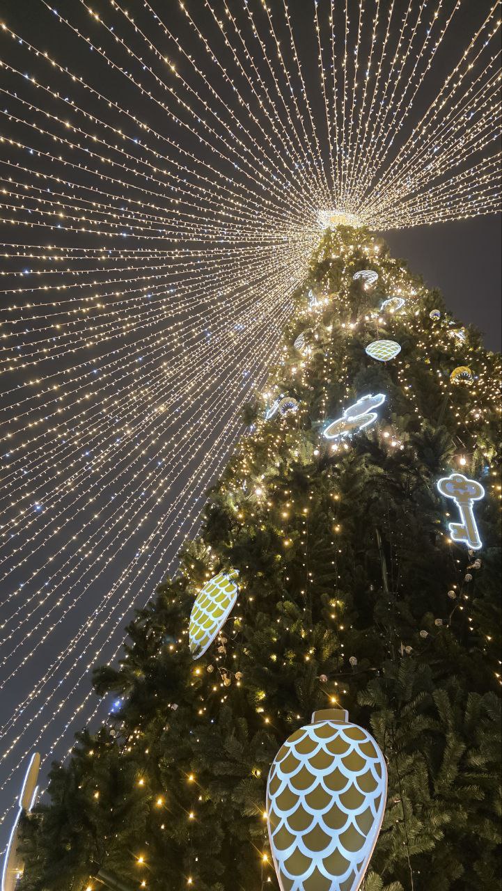 photo_2025-12-21_01-40-27 (3).jpg