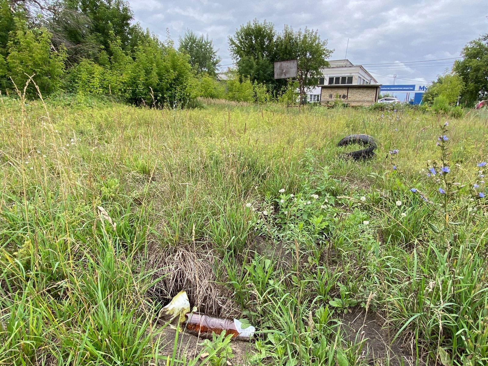 В Муроме реконструируют пятый из шести городских стадионов - новости  Владимирской области