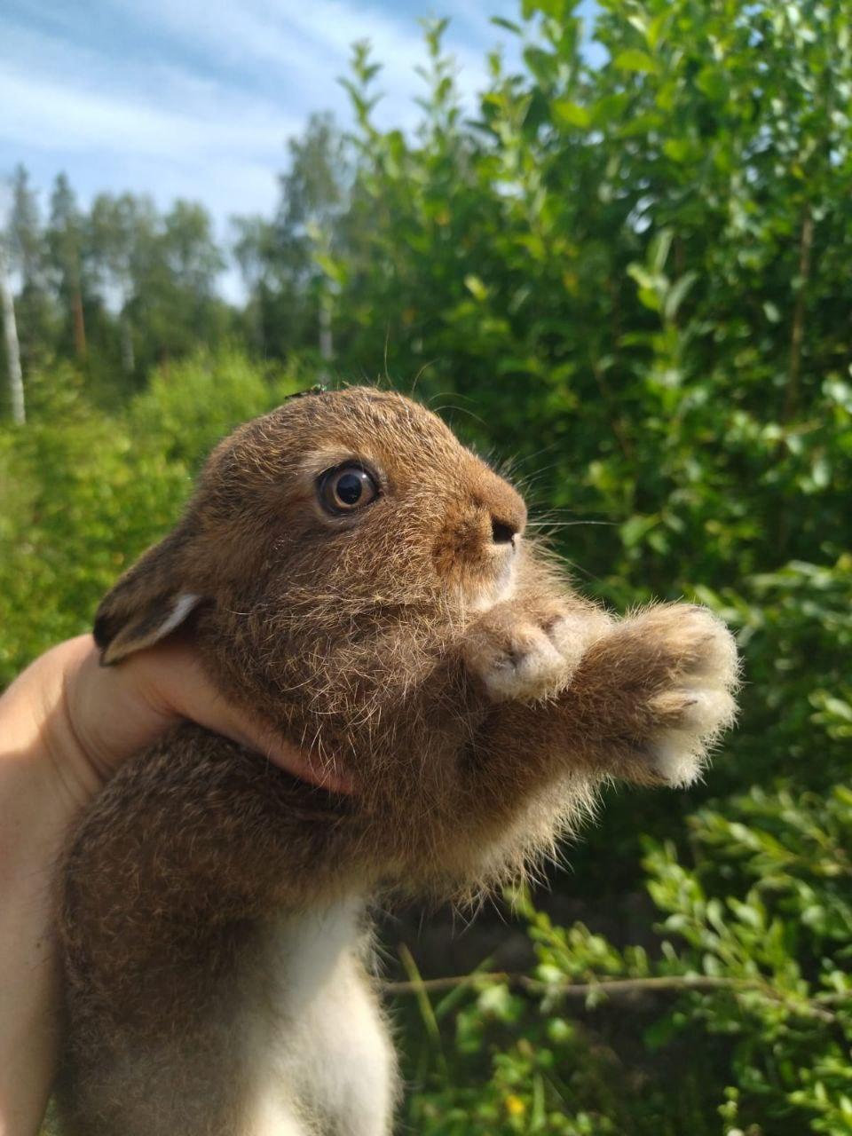 photo_2023-06-30_12-35-09 (2).jpg