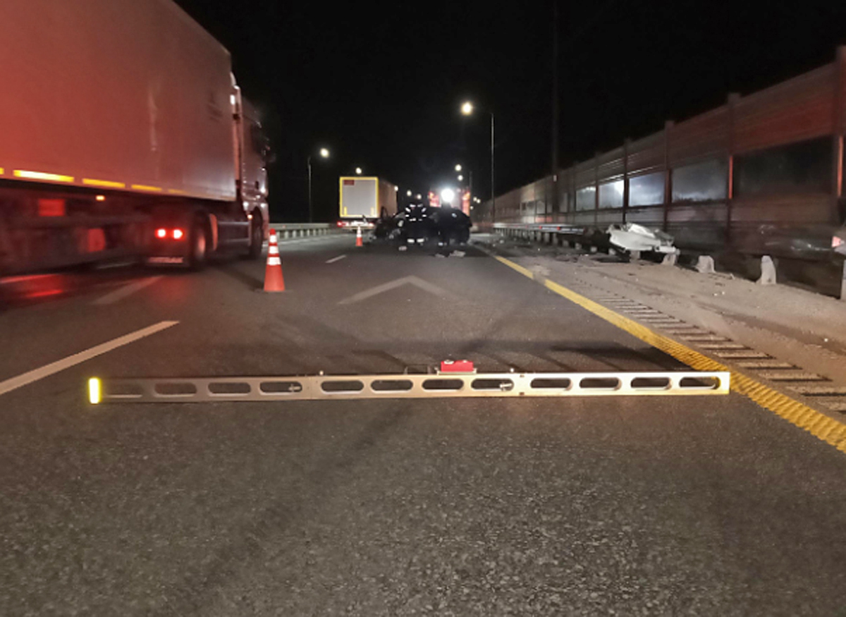 Петушки 02.jpg