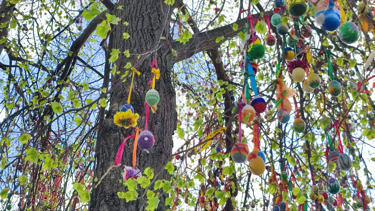 photo_2026-02-25_13-56-11 (2).jpg