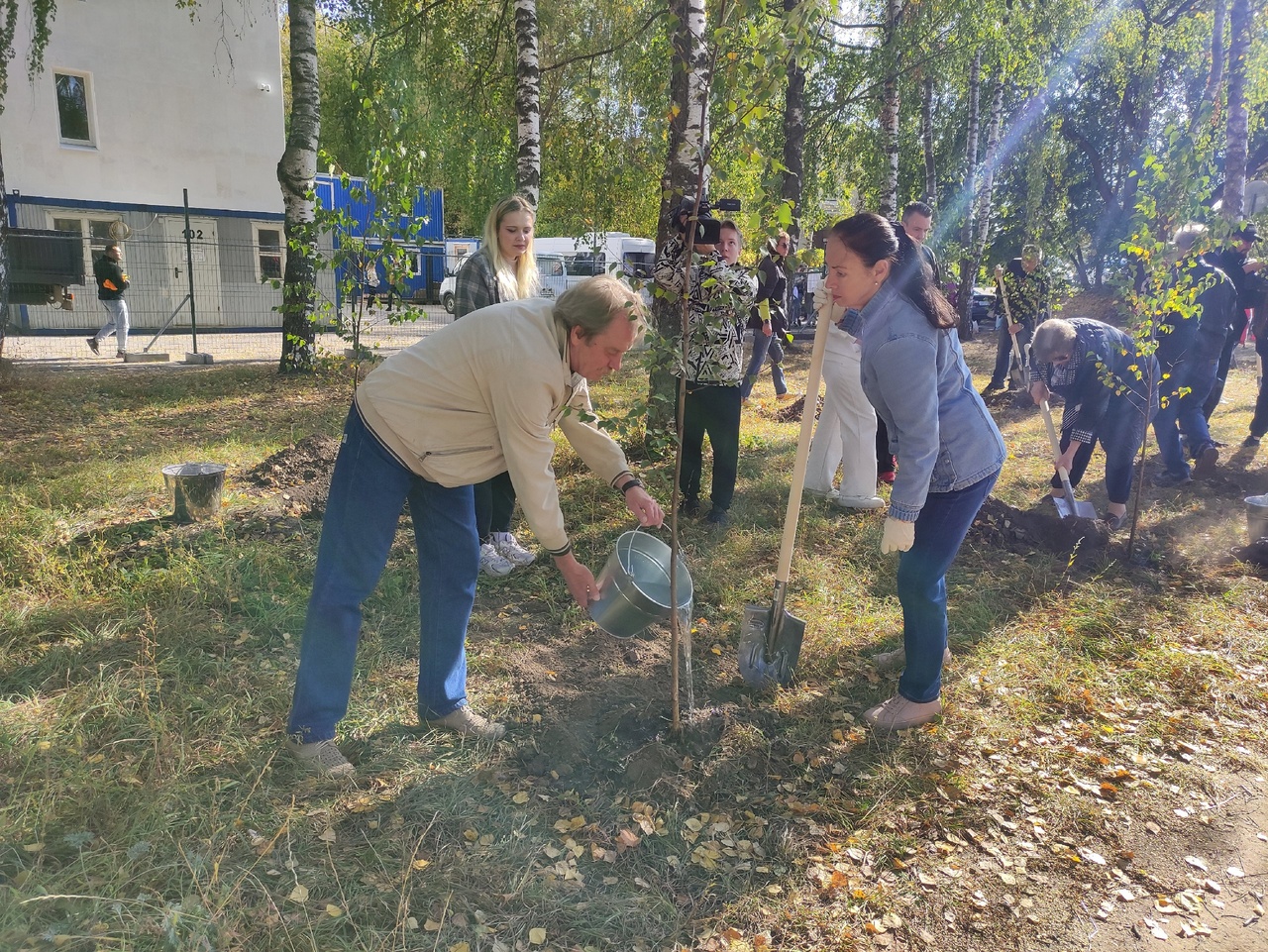 Березовый сквер владимирского драмтеатра пополнился молодыми деревьями |  19.09.2023 | Владимир - БезФормата