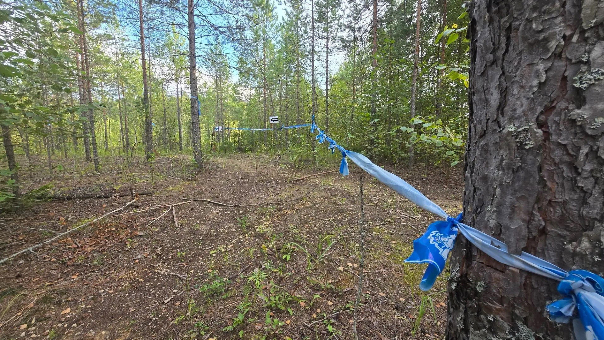 Enduro3.jpg