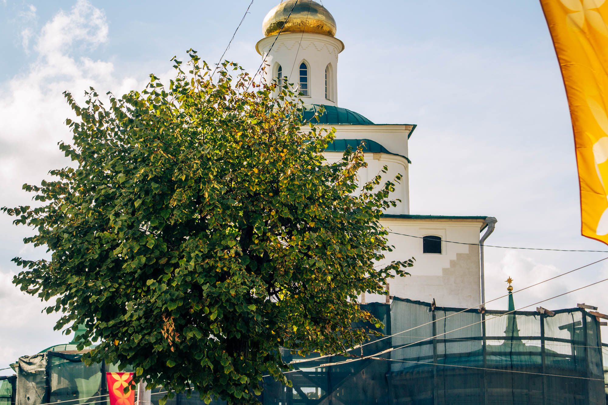 IMG_7616.jpg