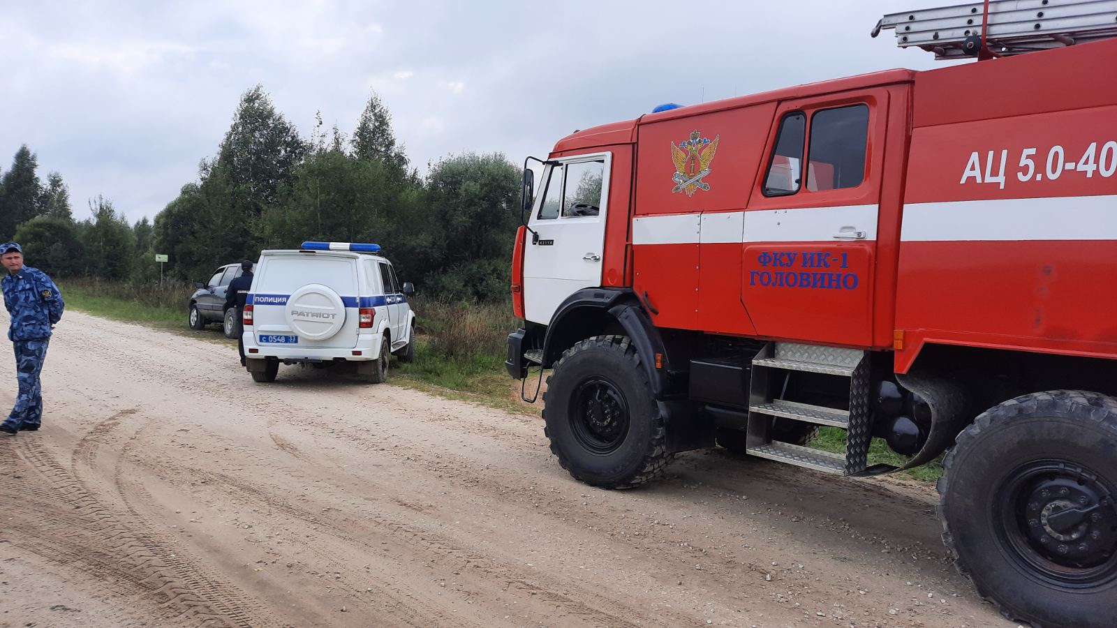 В судогодских лесах потерялись двое подростков - новости Владимирской  области