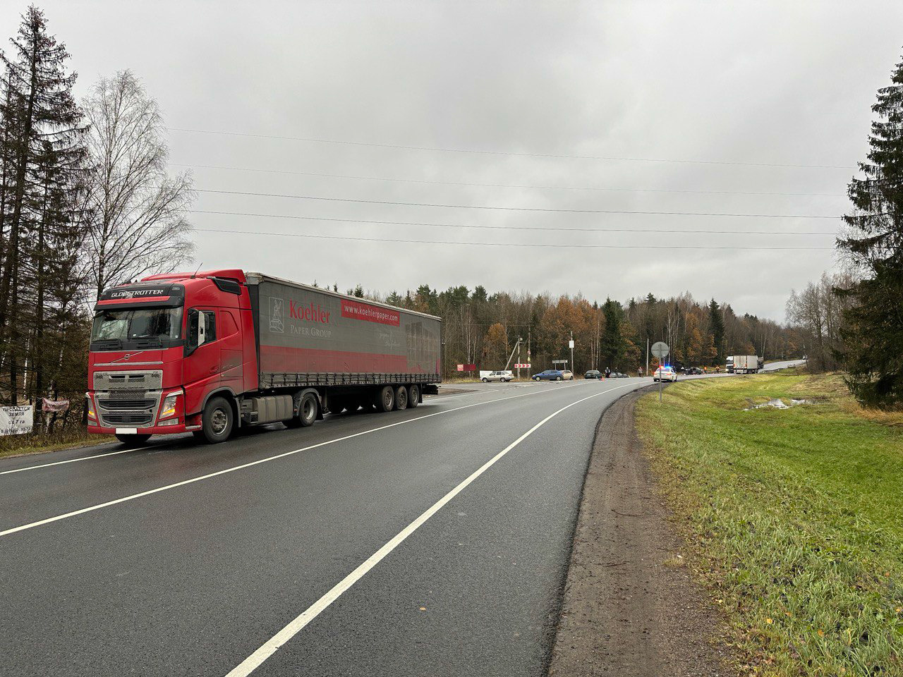 Ковардицы 3.jpg